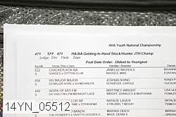 14yn_05512 thumbnail