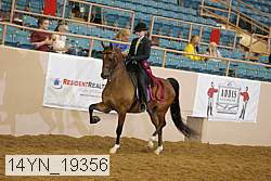 14yn_19356 thumbnail