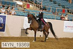 14yn_19369 thumbnail