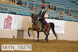 14yn_19376 thumbnail