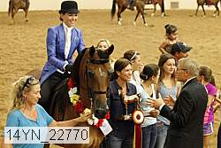 14yn_22770 thumbnail