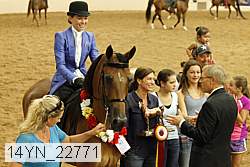 14yn_22771 thumbnail