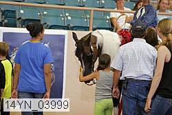14yn_03999 thumbnail
