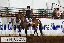 14yn_03256 thumbnail