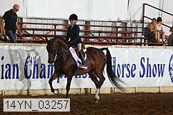 14yn_03257 thumbnail