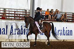14yn_03258 thumbnail