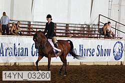 14yn_03260 thumbnail