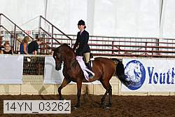14yn_03262 thumbnail