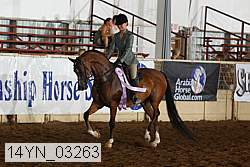 14yn_03263 thumbnail