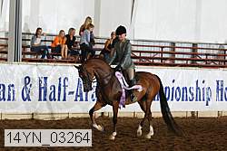 14yn_03264 thumbnail