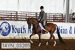 14yn_03265 thumbnail