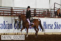 14yn_03268 thumbnail