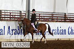 14yn_03269 thumbnail