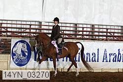 14yn_03270 thumbnail