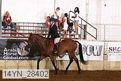 14yn_28402 thumbnail