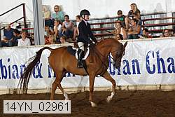 14yn_02961 thumbnail