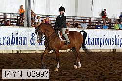 14yn_02993 thumbnail