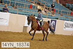 14yn_18374 thumbnail
