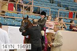 14yn_19491 thumbnail