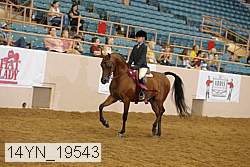 14yn_19543 thumbnail
