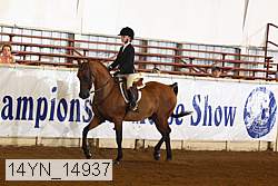 14yn_14937 thumbnail