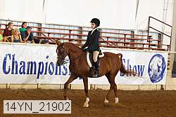 14yn_21902 thumbnail