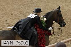 14yn_05902 thumbnail