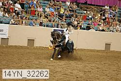 14yn_32262 thumbnail
