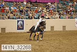14yn_32268 thumbnail