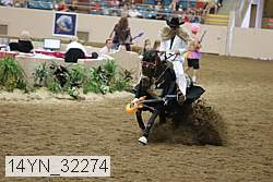 14yn_32274 thumbnail