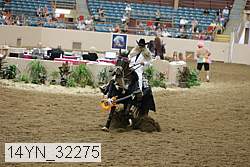 14yn_32275 thumbnail