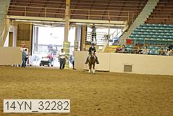 14yn_32282 thumbnail
