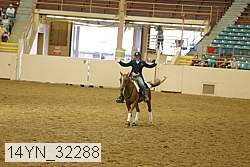 14yn_32288 thumbnail