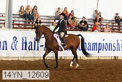 14yn_12609 thumbnail
