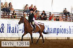 14yn_12614 thumbnail