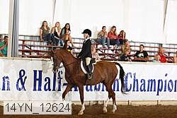 14yn_12624 thumbnail
