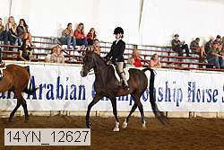 14yn_12627 thumbnail