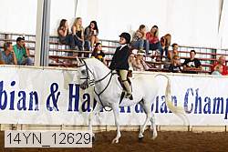 14yn_12629 thumbnail