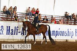 14yn_12631 thumbnail