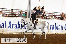 14yn_12636 thumbnail