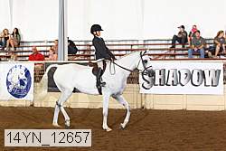 14yn_12657 thumbnail