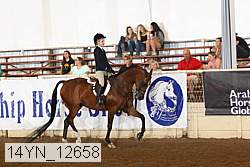 14yn_12658 thumbnail