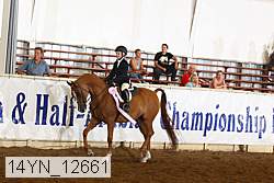 14yn_12661 thumbnail