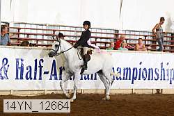 14yn_12664 thumbnail