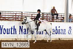 14yn_12665 thumbnail