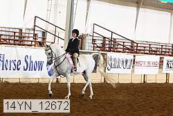 14yn_12672 thumbnail