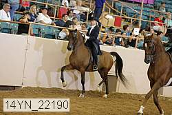 14yn_22190 thumbnail