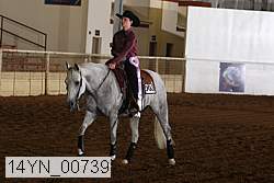 14yn_00739 thumbnail