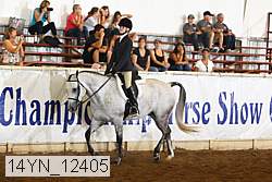 14yn_12405 thumbnail