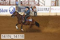14yn_14116 thumbnail
